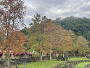 九芎根山-仁里板山