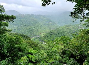 綠色廊道，群山綿延，內湖大崙尾山，連走翠山步道，中社路步道