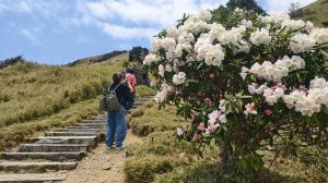 如何使用安全心率來登山(小奇萊合歡東峰花季練習)