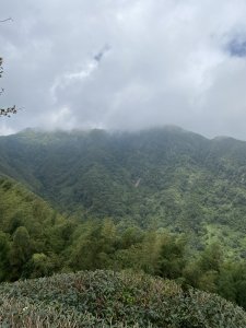 溪頭山竹崙山志騰山