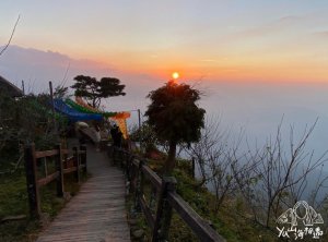 阿里山必訪步道，茶園.夕陽.雲海盡收眼底