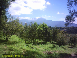 探勘埔里市區西側觀音山山脈群峰基石