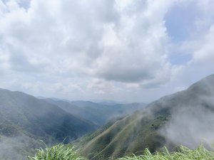 Annieya Tseng的頭像