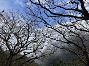 山毛櫸掉光光的 卡保逐鹿O繞 20251115