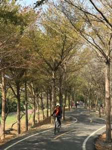 精美絕倫的潭雅神綠園道