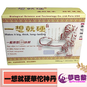 【男性補腎】一想就硬華佗神丹|男性壯陽補腎|強效助勃增硬|治療男性陽萎早洩