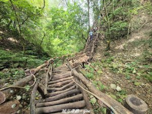 【台中北屯】大坑1號步道
