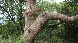 觀音山趴趴走之八 北橫 N切上硬漢嶺  眾樂園 楓櫃斗湖 