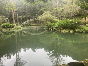 竹山(七星茶園+瑞龍步道 )+ 溪頭大學池步道