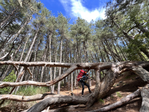 審馬陣山屋更換PAC儲存桶