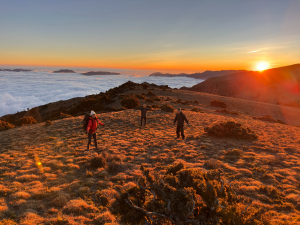 【逆走南三童話世界7日D4】郡東山看日出，可樂可樂安山喝可樂與童話世界