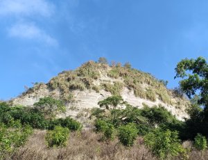陰極的冬至攀爬至陽的藍鳥山(台灣唯一”藍鳥”命名-台南.南瀛百岳)