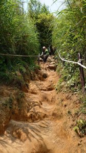 【臺北大縱走 2】【台北-臺灣百大必訪步道】攀繩陡上陡下的大屯群峰步道(大屯西、南、主峰連走)