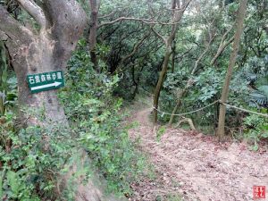 石雲森林步道