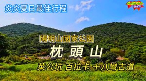 炎炎夏日最佳行程~陽明山國家公園#枕頭山(菜公坑山 & 百拉卡山) 連走 十八彎古道