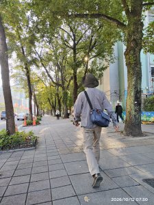 2026臺北健走趣台北信義商圈步道202610120818