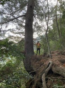 109-01-19谷關七雄老七-唐麻山