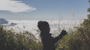 先過我這關。鵝公髻山(第二登山口)