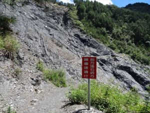 【新聞】能高越嶺西段與天池山莊封閉至107年7月2日