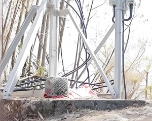 大年初一探勘深藏在大崙山觀光茶園中的「樟空倫山」