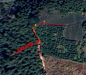 嘉義縣文化觀光局公告-「大尖山前的階梯扶手發現被人灑上一級農藥托福松」案