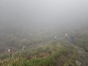 2025臺北大縱走第三段：小油坑至風櫃口