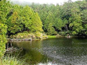 三星池步道(太平山森林遊樂區)