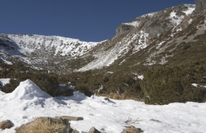 1月20日雪霸國家公園雪季正式來報到 管制措施要記牢