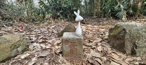 2026/03/15 白冷山步道