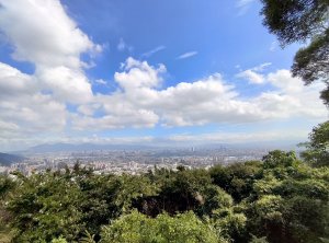 新北樹林-三角埔頂-青龍嶺-大棟山來回