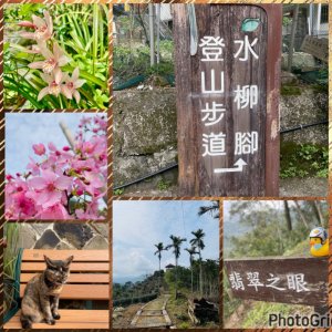 坪林五星+倒吊子三山-雲海山縱走烏窟子山十連峰-翡翠之眼-𩻸魚堀溪