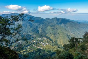 比預期中好走的溪頭「鳳凰山」步道（米堤線）