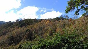 絢麗斑斕的霞喀羅古道(養老－白石吊橋)