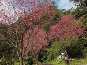 五城山、天上山、火焰山、大暖尖稜線步道