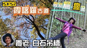霞喀羅古道攻略，霞喀羅最好走的一條路線，從養老登山口—白石吊橋，最平緩好走，最美最精華的路段，行車路況好，易停車，有公廁，新手友善。