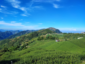 [嘉義竹崎][四]石桌山(石卓山)、南牛山、牛山、沙坑山(坑頭厝山)、大竹圍、公館口山、番子潭