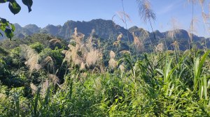 霧峰郊山縱走一霧峰奧山、砲台山Ｏ繞，順訪阿罩霧山