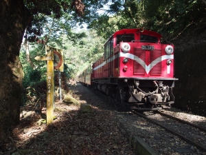 [嘉義]樟腦寮站．獨立山站-獨立山國家步道