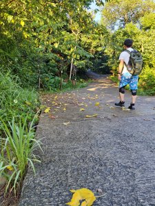 新竹文山步道健走