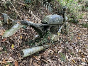 20250129高雄塔羅留山-塔羅留山南峰-他果晏山