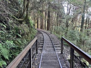 [嘉遊好步道．來嘉走走-06/10] 2024_1012 特富野古道