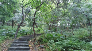 親山親水輕鬆走∥貴子坑親山步道，貴子坑水土保持園區