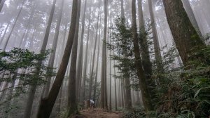 橫沙笛縱走 (木馬古道、橫嶺山、沙蓮山、笛吹山)