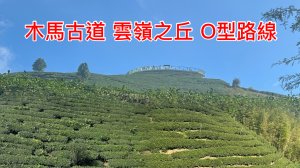 木馬古道 雲嶺之丘 O型路線 林相優美 竹林 杉木林混生林 可看見玉山
