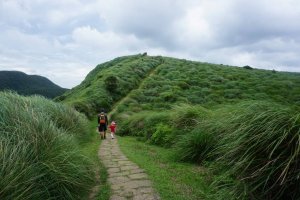 【發現陽明山】蟬鳴蝶舞牛群雙扇蕨~夏日的頂山石梯嶺步道