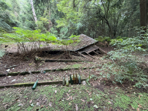 北坑駐在所_山蘇森林