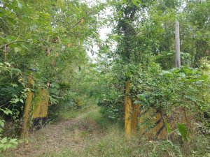 [高雄甲仙][二]大丘園、宮外埔頭山