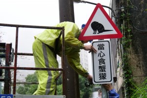 【保育】保護保育類動物 新北首創當心食蟹獴標誌牌面