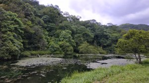 福山植物園