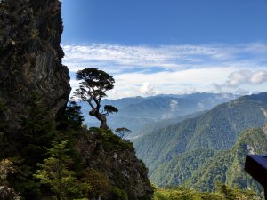 武陵四秀